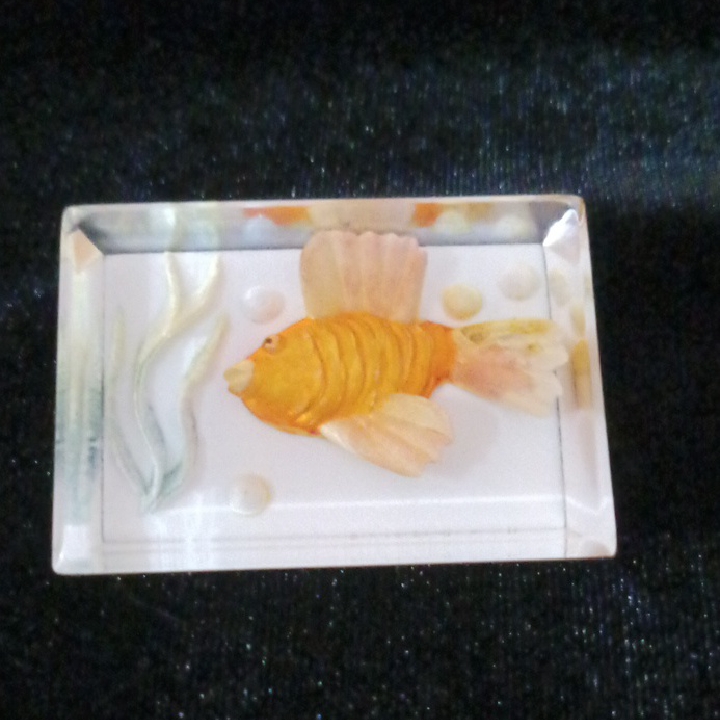 Vintage Reverse Carved Lucite Brooches